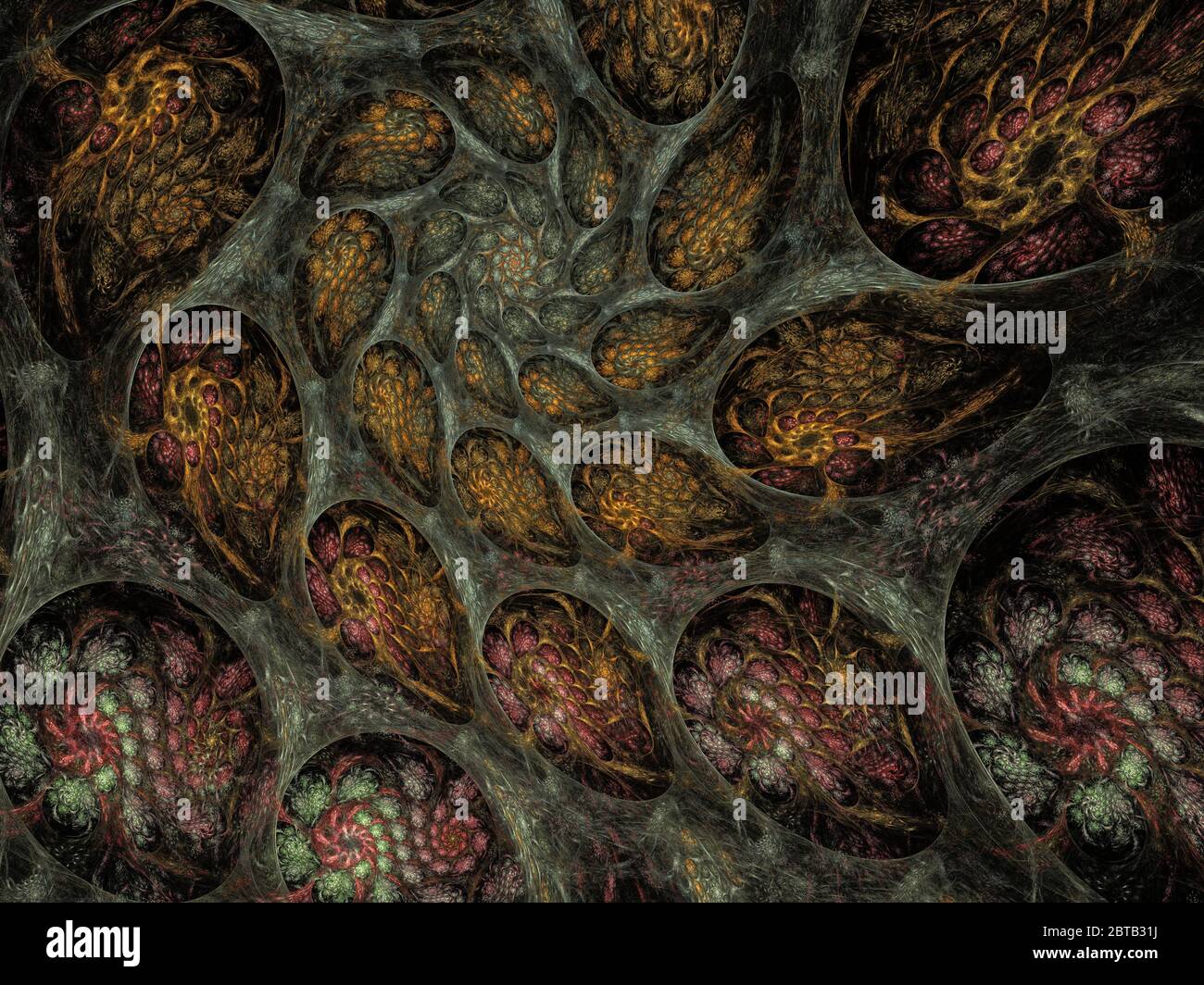 Résumé Ammonite flamme Fractal Art Banque D'Images