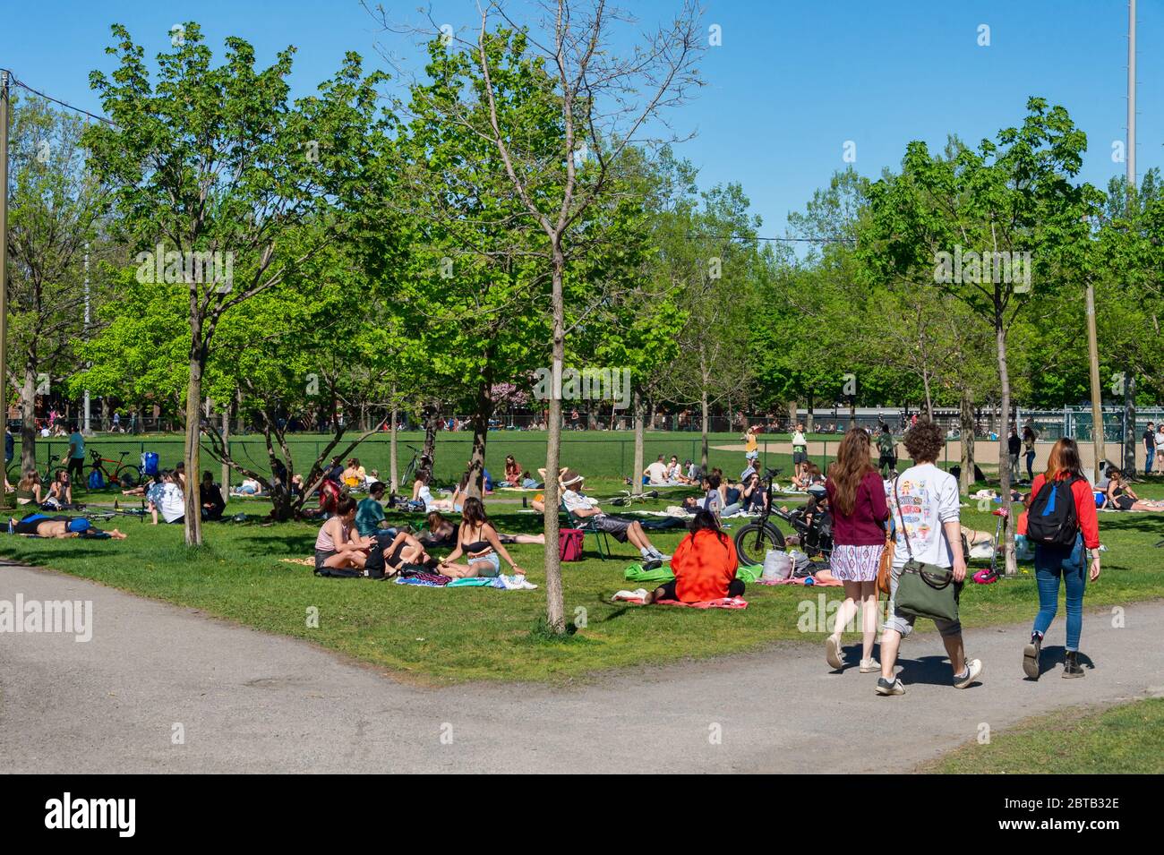 Montréal, CA - 23 mai 2020 : rassemblement de personnes durant la pandémie du coronavirus dans le parc Laurier Banque D'Images