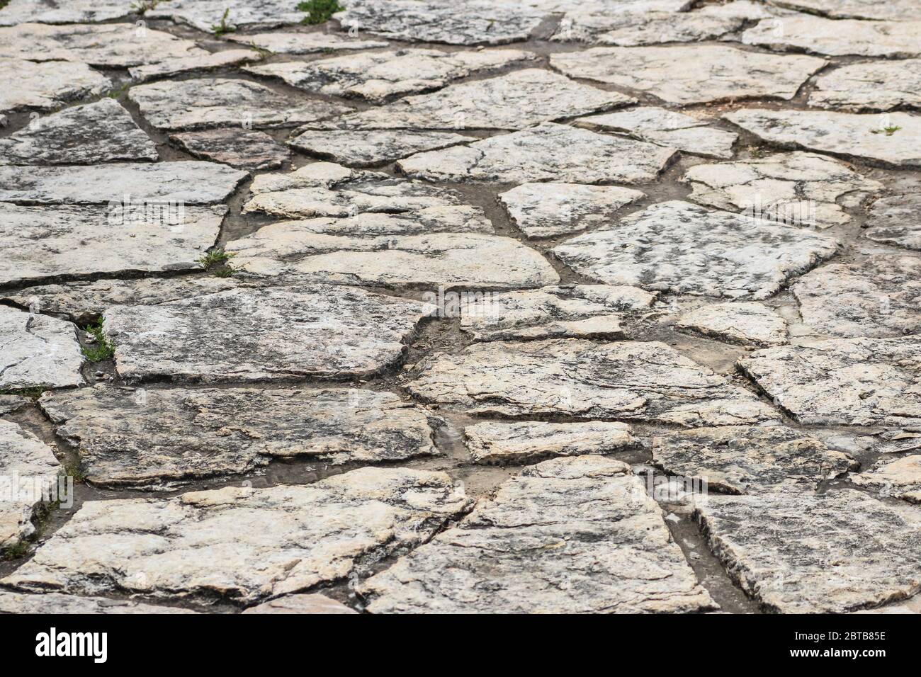 Le chemin du parc est posé de pierre naturelle Banque D'Images