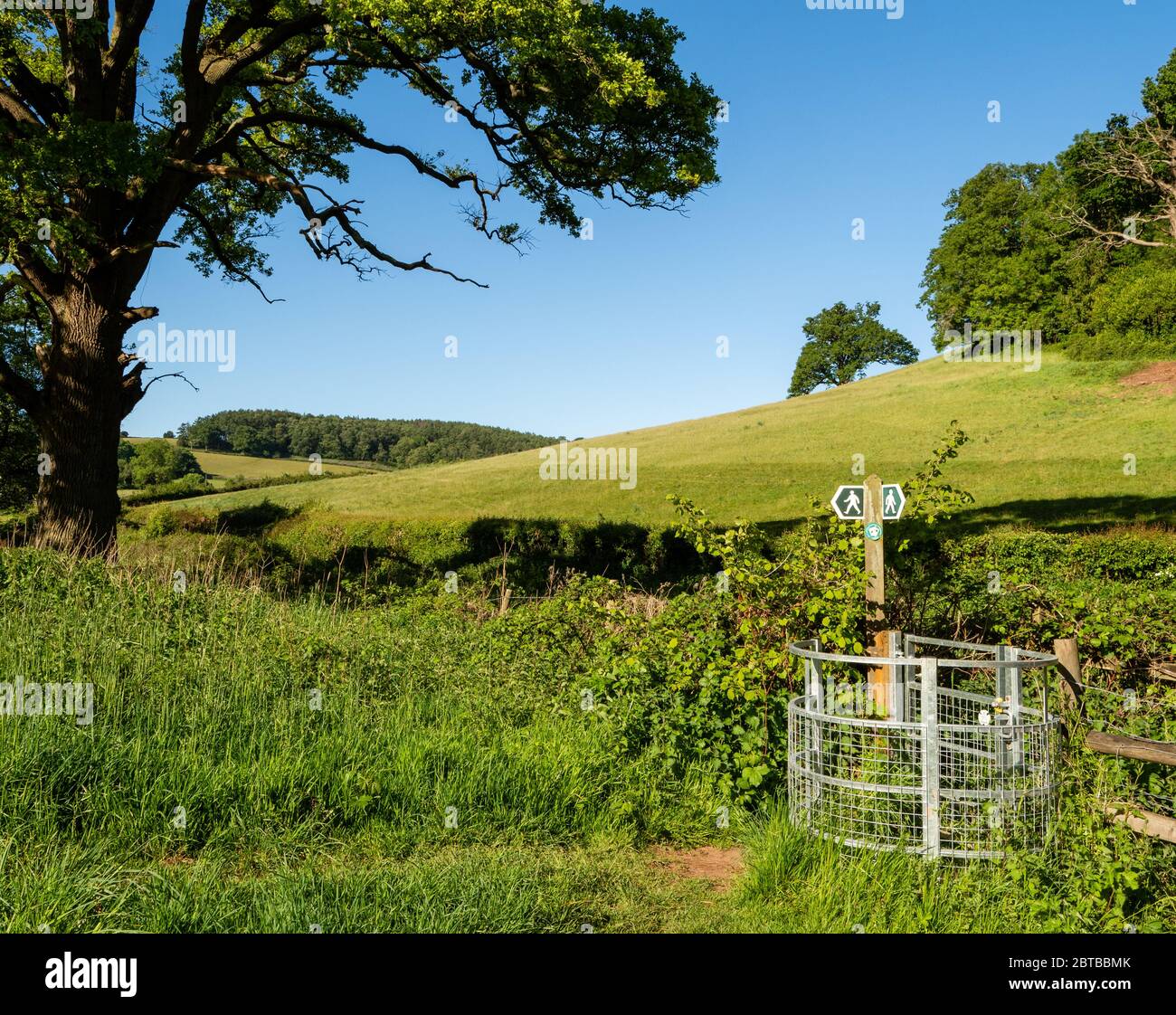 Waymarker sur le Gordano Round un sentier circulaire longue distance dans le nord du Somerset Royaume-Uni Banque D'Images
