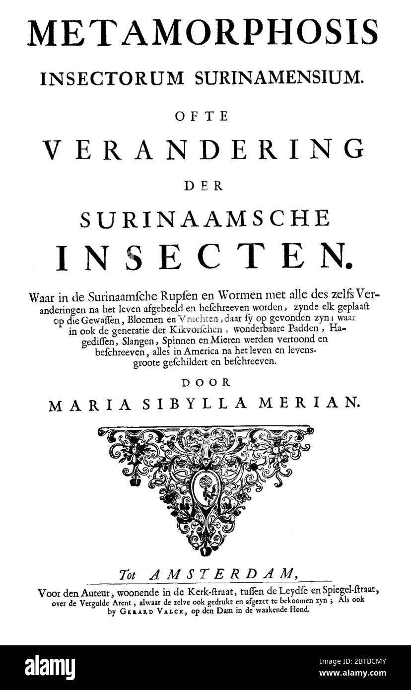 1705, ALLEMAGNE : la naturaliste allemande femme peintre , illustratrice scientifique et biologiste MARIA SIBYLLA MERIAN ( 1647 - 1717 ). Le père de Sibylla était le graveur et pubbliher suisse Mattäus Merian ( Matthew , 1593 - 1650 ) l'aîné . Frontespice de Sibylla majeure travail MÉTAMORPHOSE INSECTORUM SURINAMENSIUS , imprimé à Amsterdam, 1705 . - SYBILLA - HISTOIRE - foto storica storiche - portrait - ritratto - NATURALISTA - NATURALISTE - SCIENZA - SCIENCE - BIOLOGIE - BIOLOGIA - illustratrice - illustrateur - femme peintre - pittrice - pittura - peinture - ARTE - ARTS - ART - illustrate Banque D'Images