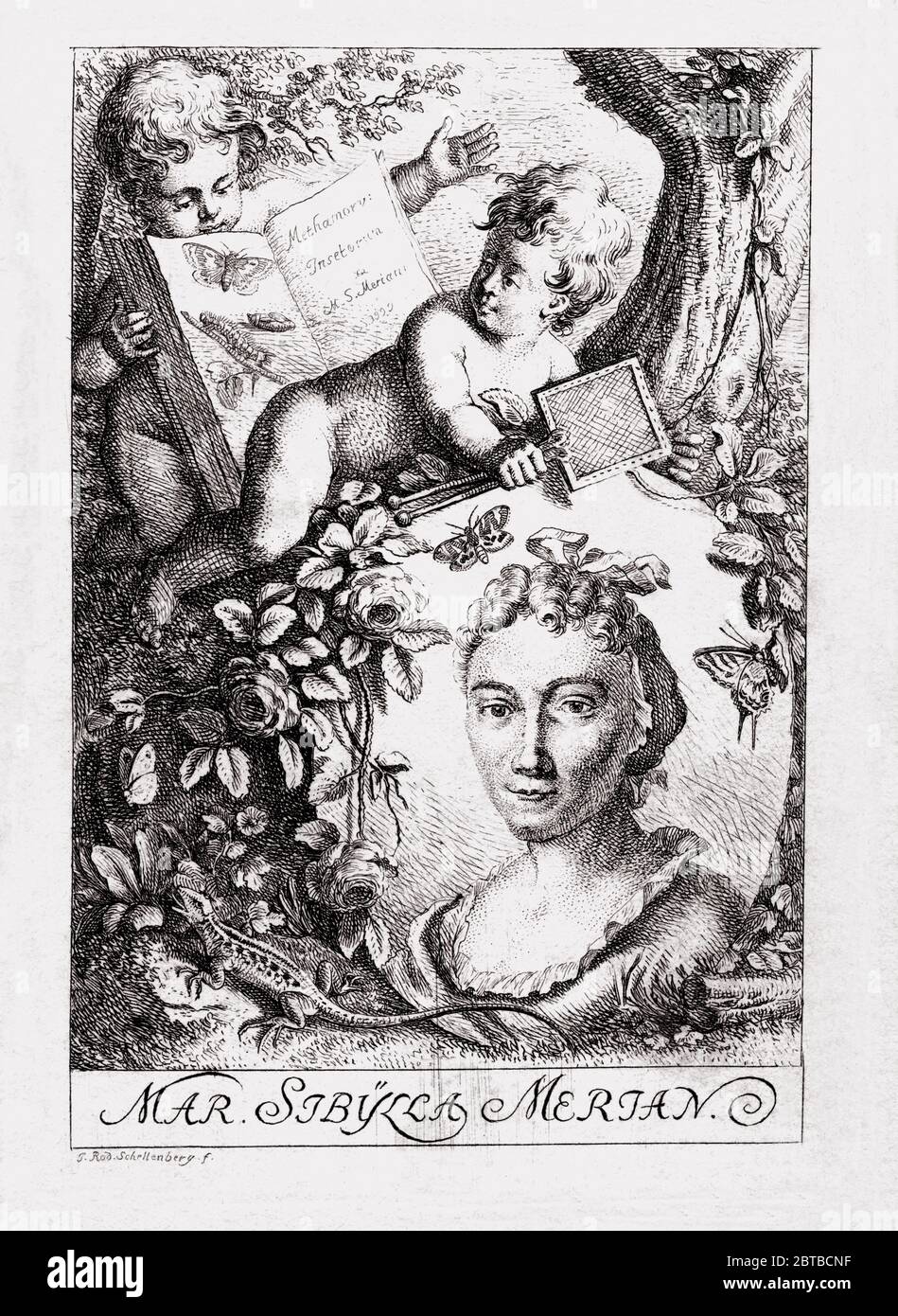1790 c, ALLEMAGNE : la femme naturaliste allemande peintre , illustratrice scientifique et biologiste MARIA SIBYLLA MERIAN ( 1647 - 1717 ). Le père de Sibylla était le graveur et pubbliher suisse Mattäus Merian ( Matthew , 1593 - 1650 ) l'aîné . Portrait du graveur Johann Rudolf Schellenberg ( 1740 - 1806 ) . - SYBILLA - HISTOIRE - foto storica storiche - portrait - ritratto - NATURALISTA - NATURALISTE - SCIENZA - SCIENCE - BIOLOGIE - BIOLOGIA - illustratrice - illustrateur - femme peintre - pittrice - pittura - peinture - ARTE - ARTS - ART - illustration - illustrazione - incisione - e Banque D'Images