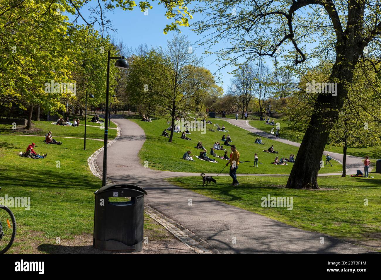 Les premiers jours de printemps chauds permettent aux gens de sortir et de se retrouver dans les parcs publics du centre-ville d'Helsinki. La distanciation sociale est appliquée. Banque D'Images