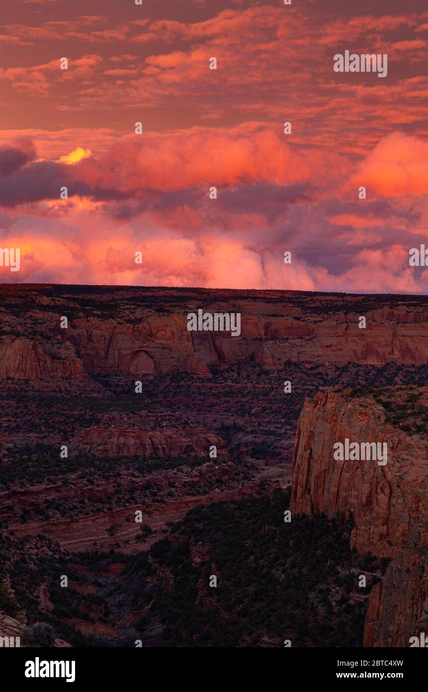 AZ00389-00...ARIZONA - coucher de soleil depuis le Canyon View Trail, dans le monument national Navajo. Banque D'Images