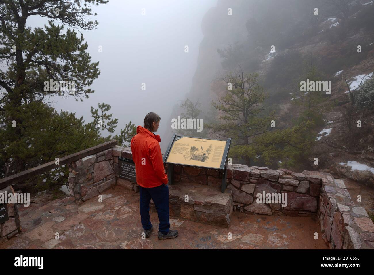 AZ00397-00...ARIZONA - Aspen Forest donne sur une matinée de brouillard au Monuiment national Navajo. Banque D'Images