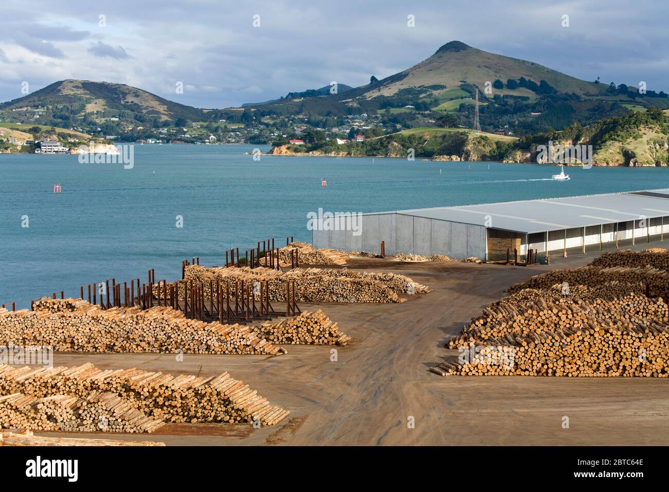 Grumes à Port Chalmers,Dunedin,Otago District,South Island,Nouvelle-Zélande Banque D'Images