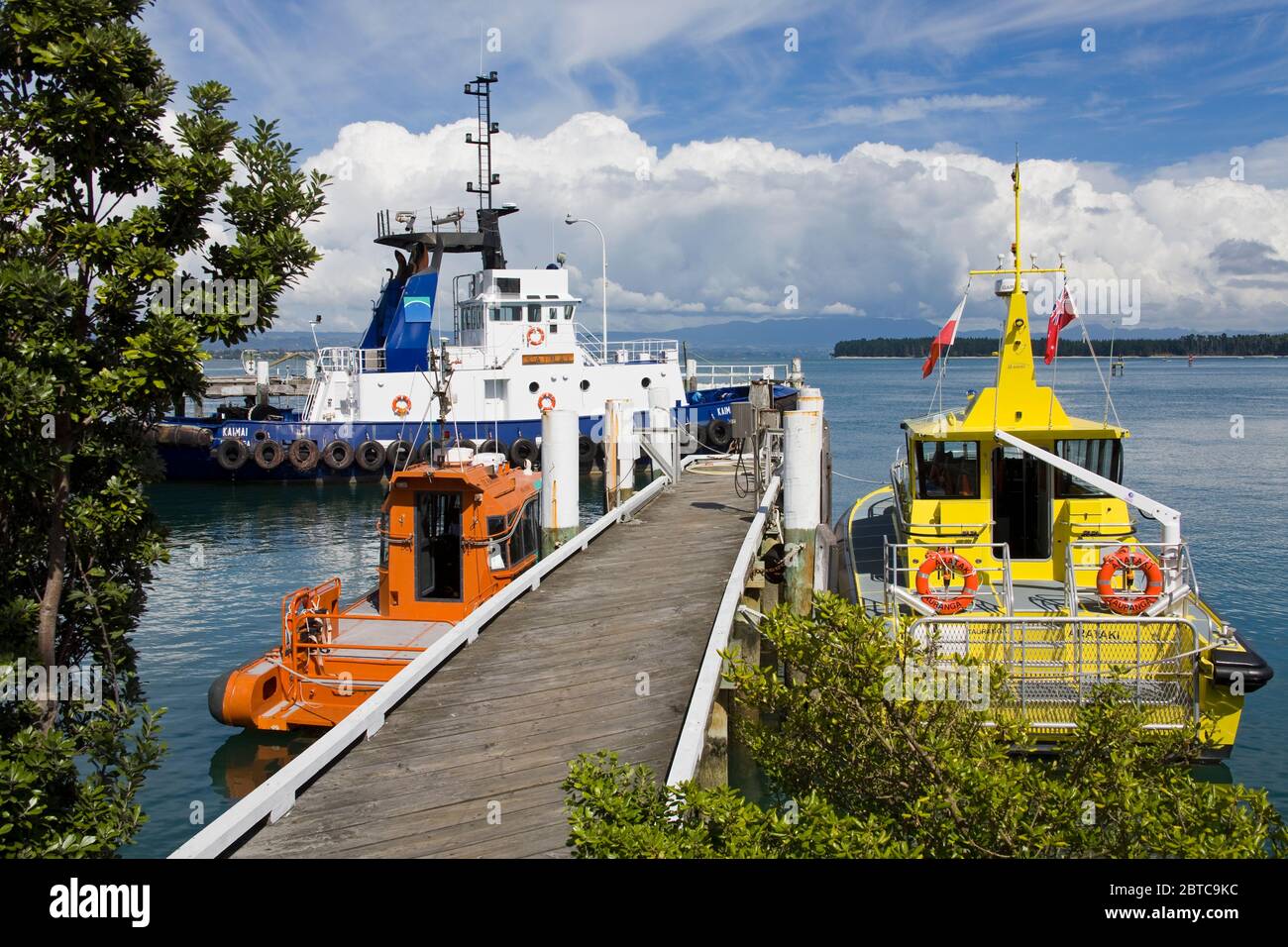 Port de Tauranga dans le Mont Maunganui, ville de Tauranga, Île du Nord, Nouvelle-Zélande Banque D'Images