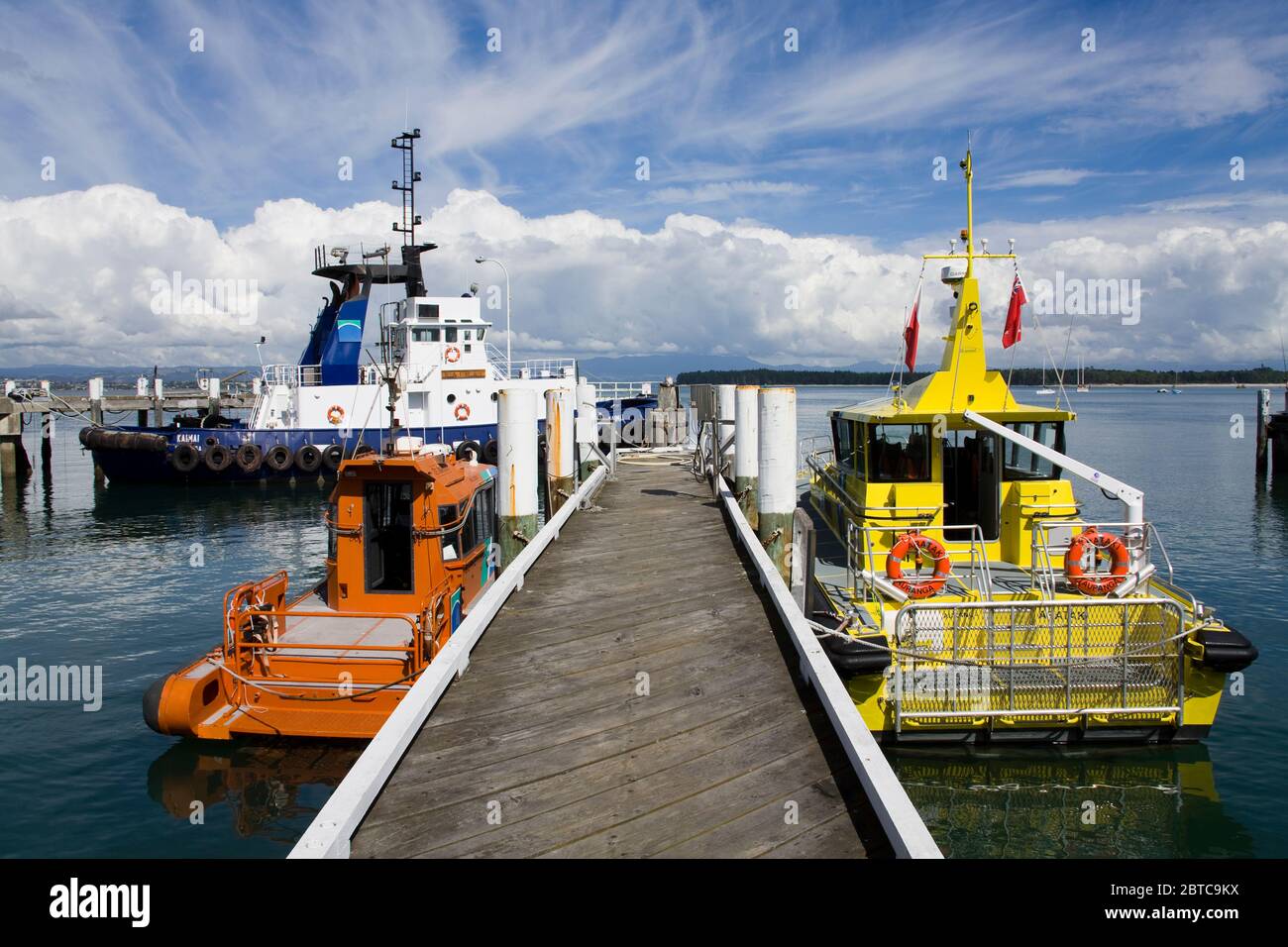 Port de Tauranga dans le Mont Maunganui, ville de Tauranga, Île du Nord, Nouvelle-Zélande Banque D'Images