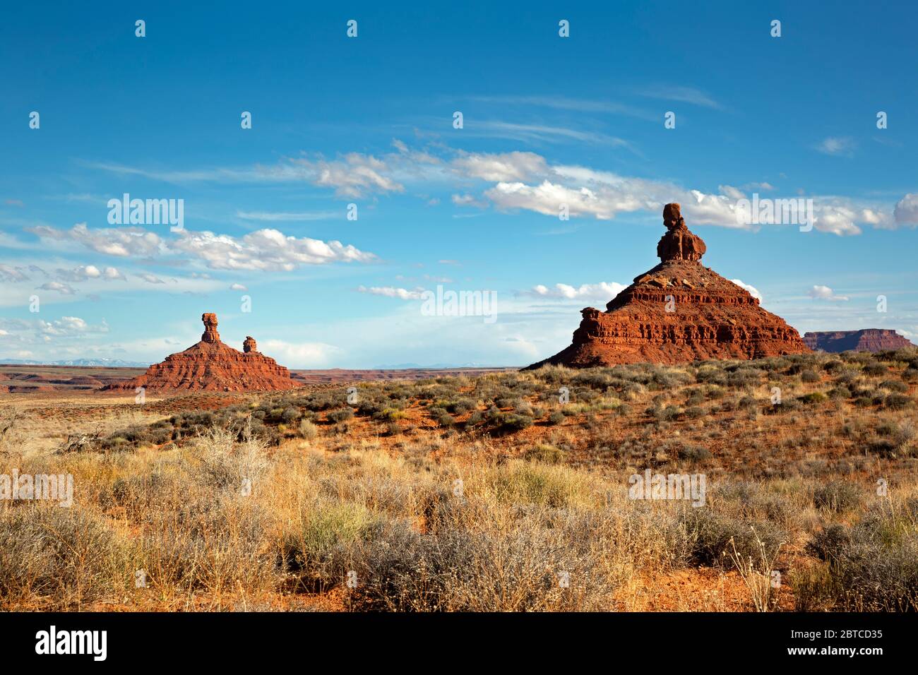 UT00608-00...UTAH - buttes de grès rouge sortant de la haute prairie sèche de la vallée des dieux. Banque D'Images