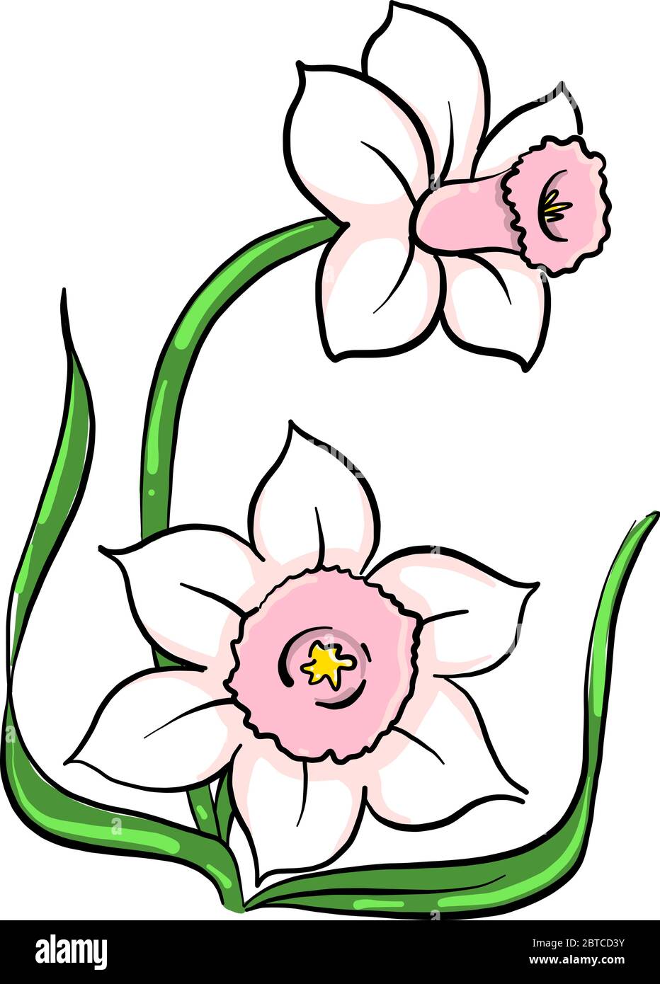 Fleurs roses , illustration, vecteur sur fond blanc Illustration de Vecteur