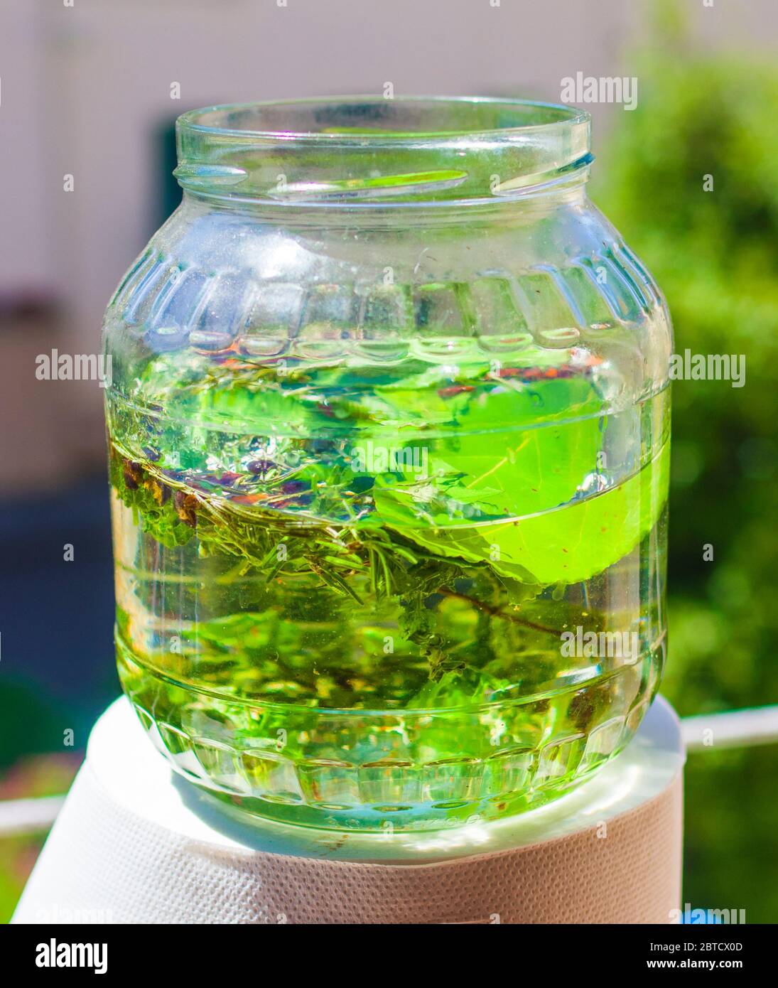 herbes perfusés dans l'alcool, l'artisan produit de la liqueur avec des herbes et des épices aromatiques à partir d'une recette traditionnelle ancienne Banque D'Images herbes perfusés dans l'alcool, l'artisan produit de la liqueur avec des herbes et des épices aromatiques à partir d'une recette traditionnelle ancienne Banque D'Images