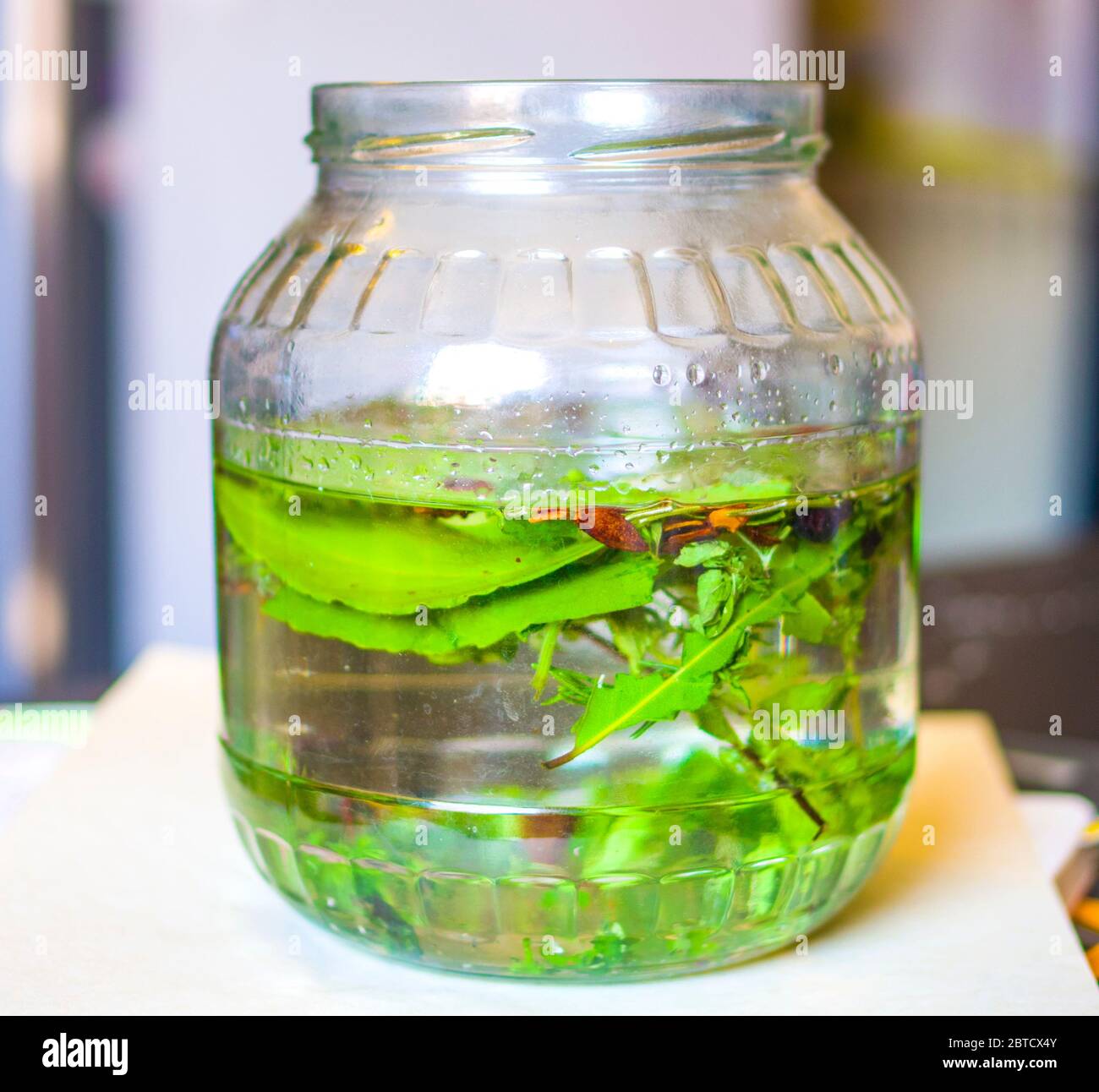 herbes et épices pour faire du macérer dans l'alcool, l'artisan produit de la liqueur avec des herbes et des épices aromatiques à partir d'une recette traditionnelle ancienne Banque D'Images herbes et épices pour faire du macérer dans l'alcool, l'artisan produit de la liqueur avec des herbes et des épices aromatiques à partir d'une recette traditionnelle ancienne Banque D'Images
