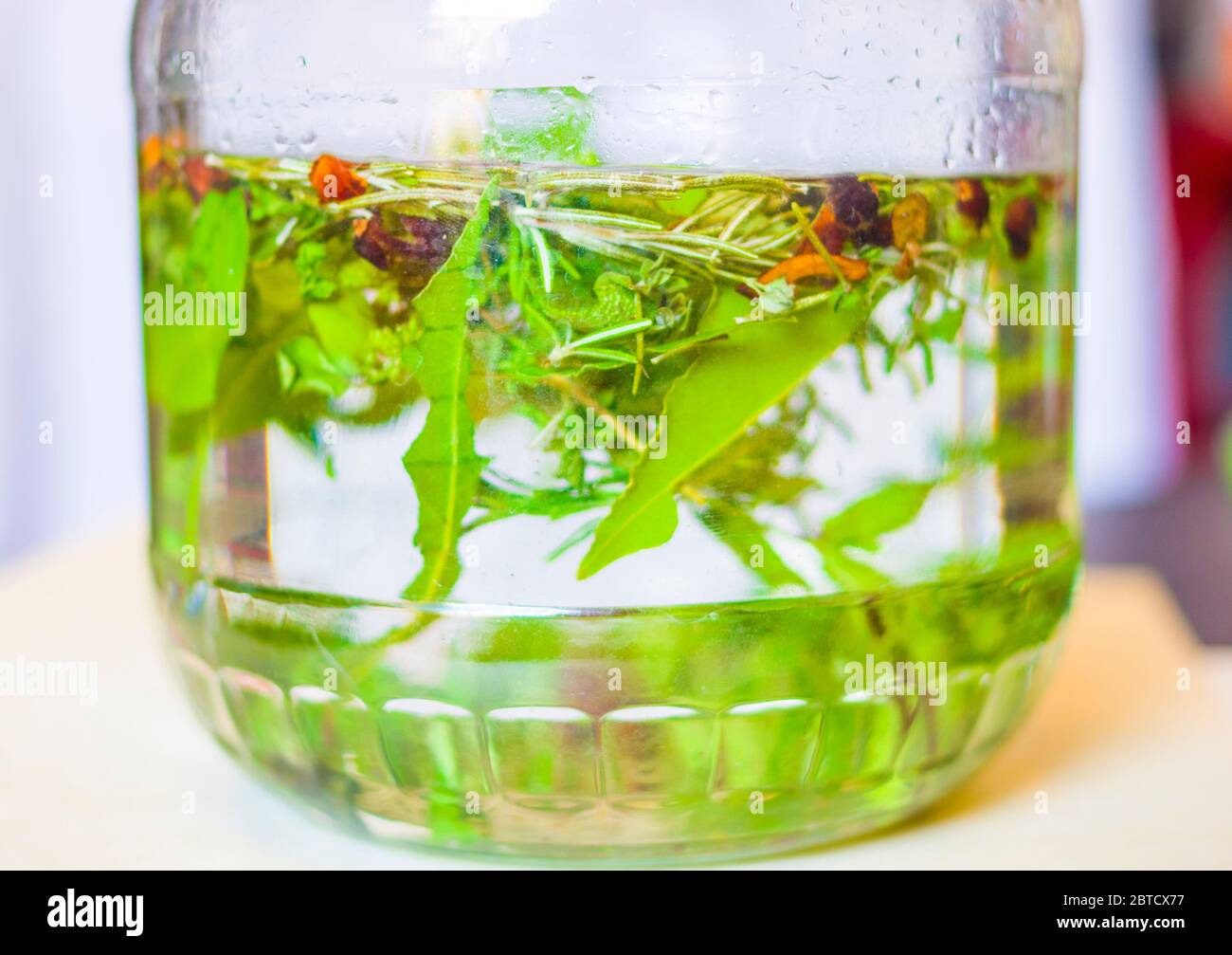 herbes perfusés dans l'alcool, l'artisan produit de la liqueur avec des herbes et des épices aromatiques à partir d'une recette traditionnelle ancienne Banque D'Images herbes perfusés dans l'alcool, l'artisan produit de la liqueur avec des herbes et des épices aromatiques à partir d'une recette traditionnelle ancienne Banque D'Images