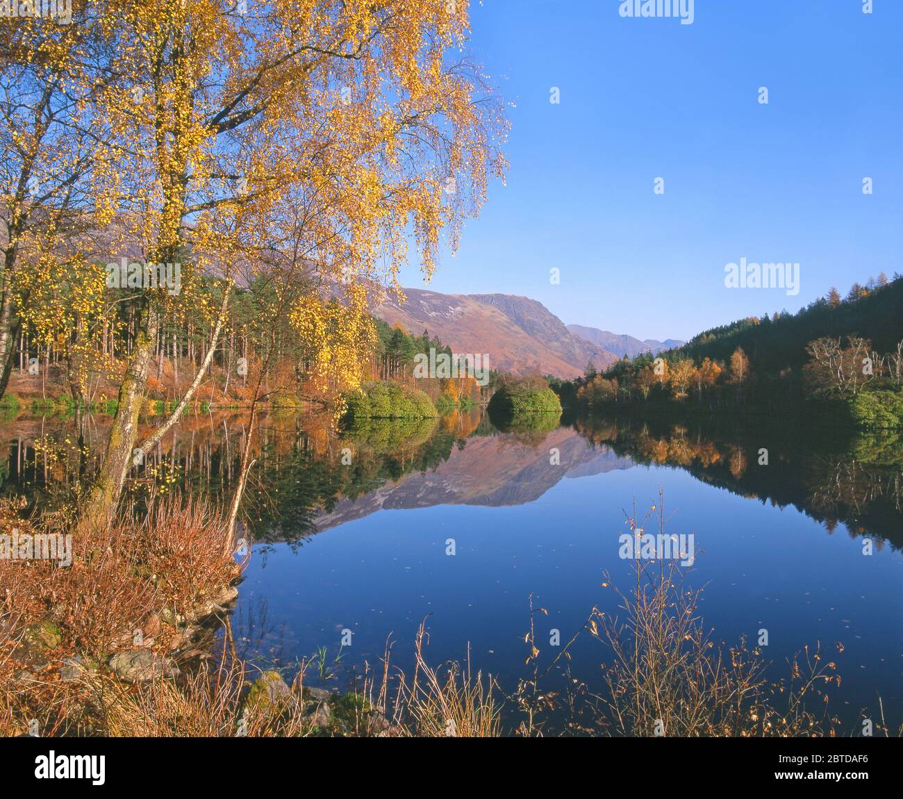 Autumn falls sur la piste de Lochan, Glencoe, West Highlands. Banque D'Images