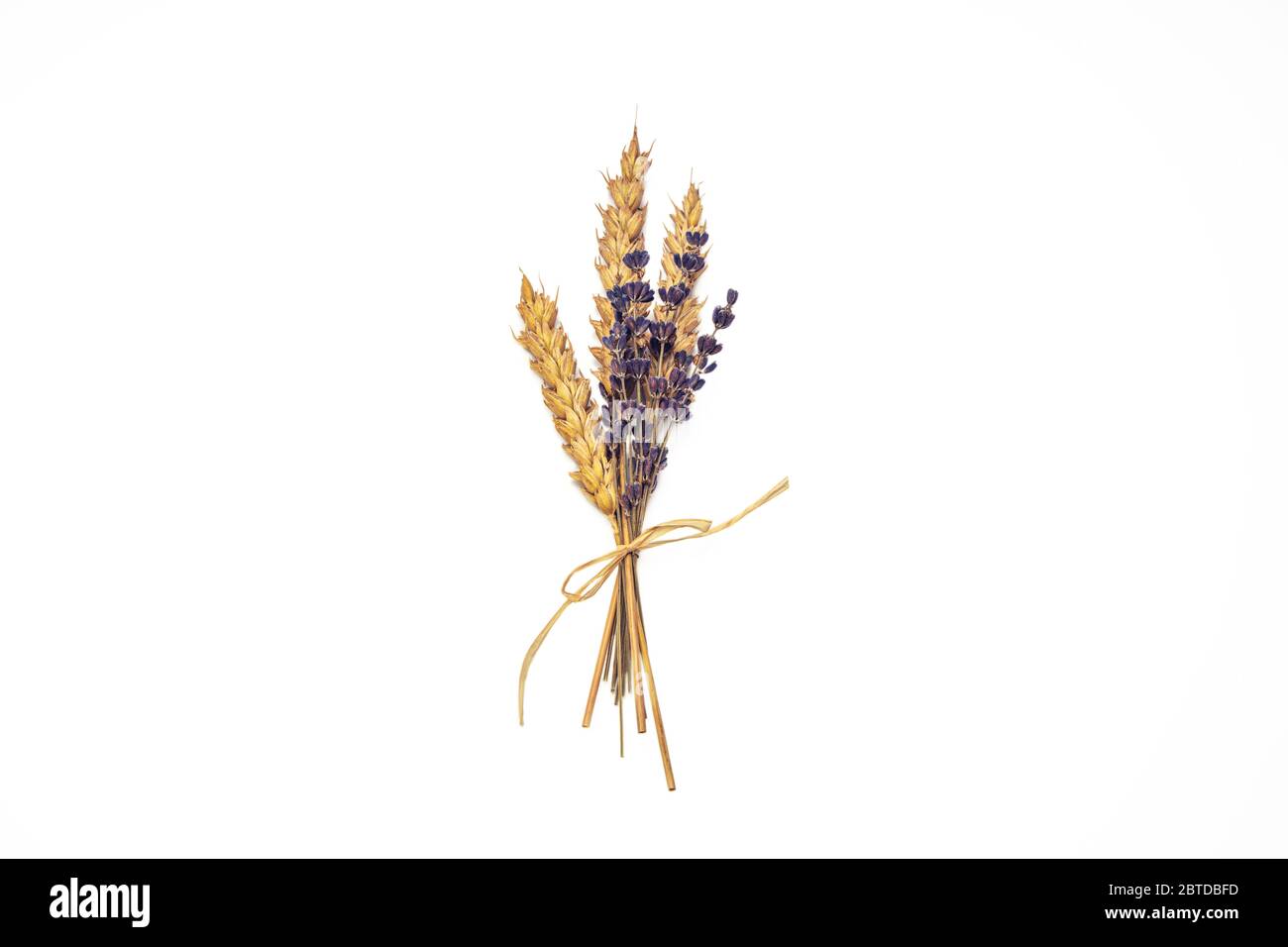 Fleur de lavande et graines de blé dans un beau bouquet biologique isolé sur fond blanc Banque D'Images