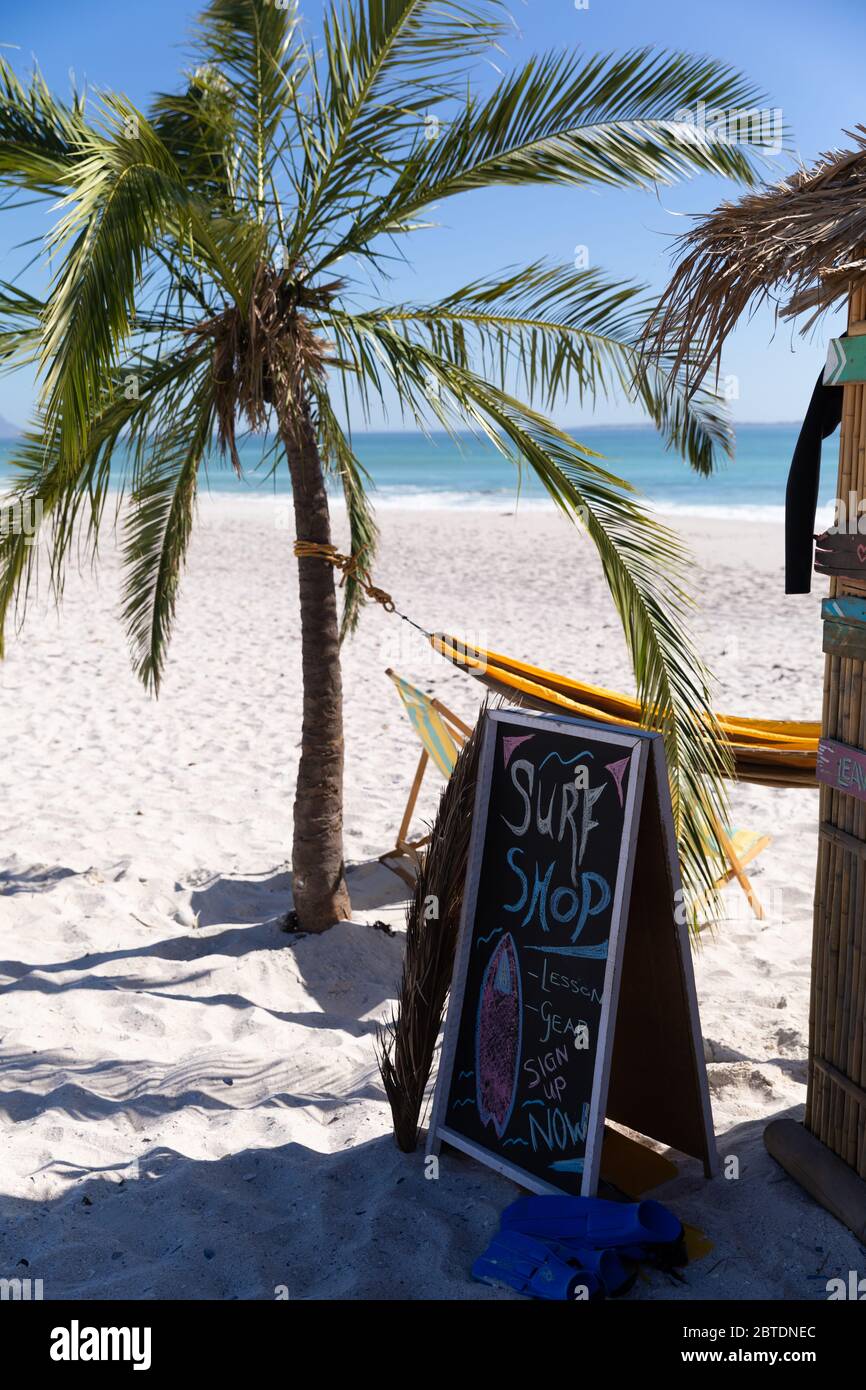 Vue magnifique sur une plage avec un palmier et une boutique de surf Banque D'Images