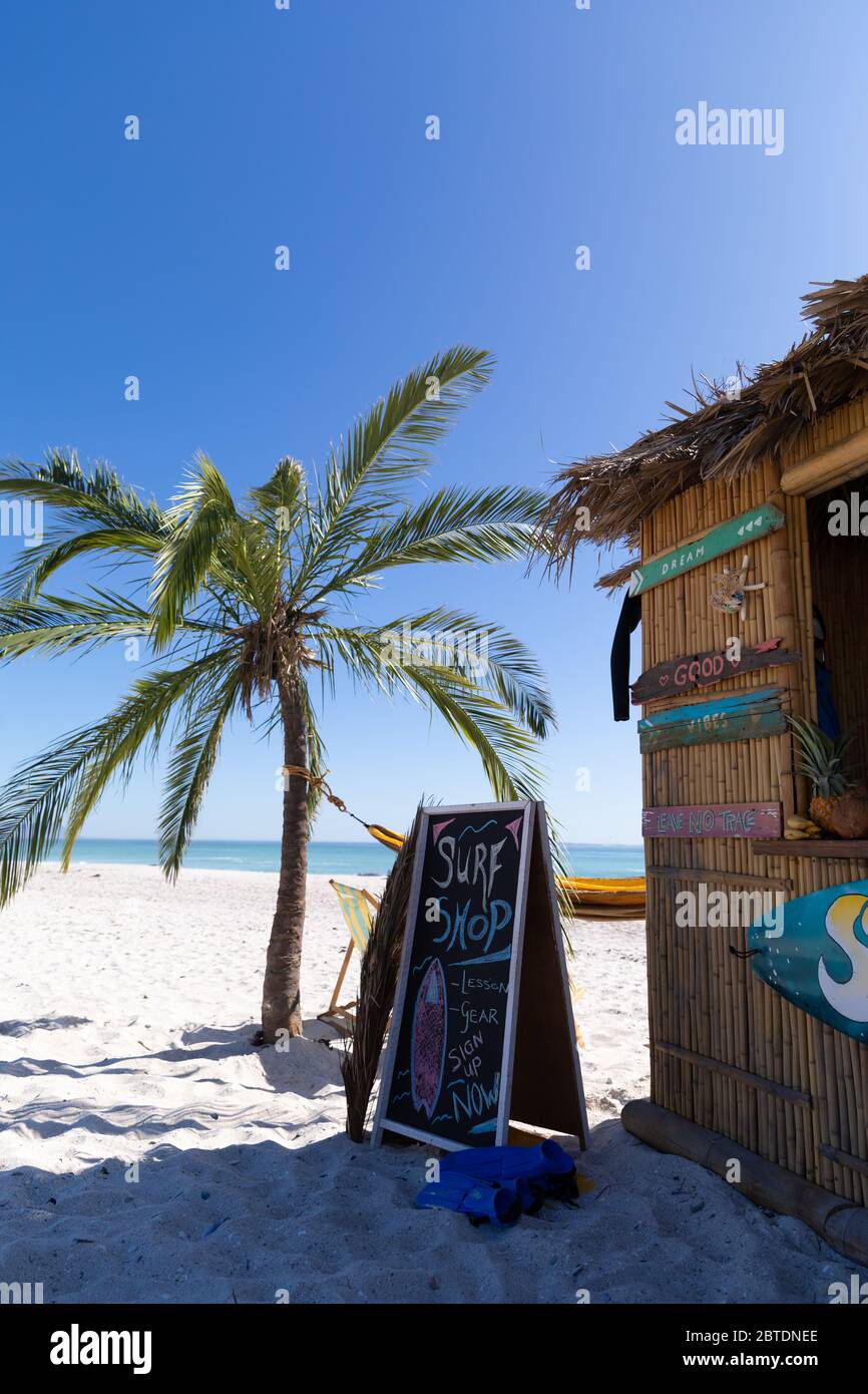 Vue magnifique sur une plage avec un palmier et une boutique de surf Banque D'Images