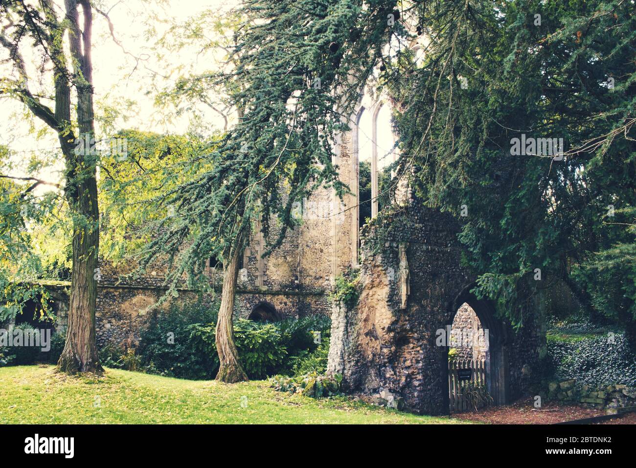 Ruines de réfectoire, Abbaye de Walsingham, Little Walsingham, Norfolk, Royaume-Uni Banque D'Images