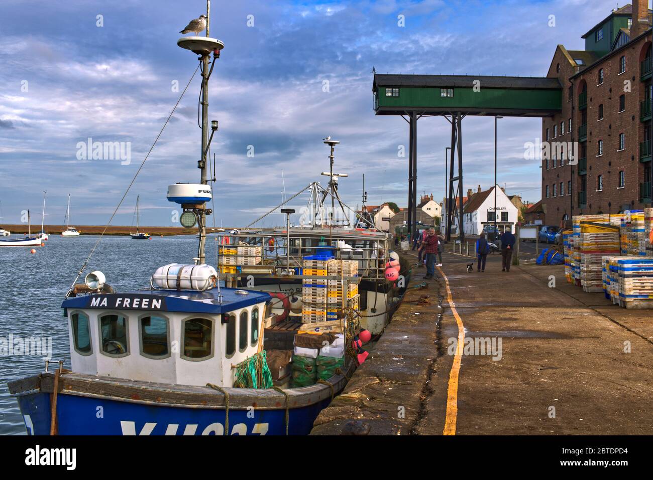 Pêchez des caisses sur un bateau de pêche au quai de Wells-Next-the-Sea, Norfolk, Royaume-Uni. Le Vieux Granary peut être vu au loin. Banque D'Images