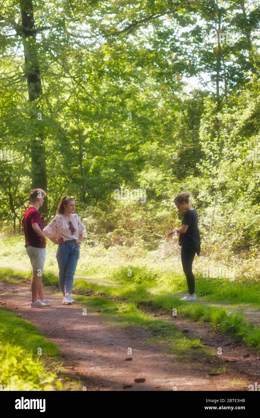 Trois jeunes se tenant sur un sentier forestier, Allemagne, Rhénanie-du-Nord-Westphalie, Hagen-Hohenlimburg Banque D'Images