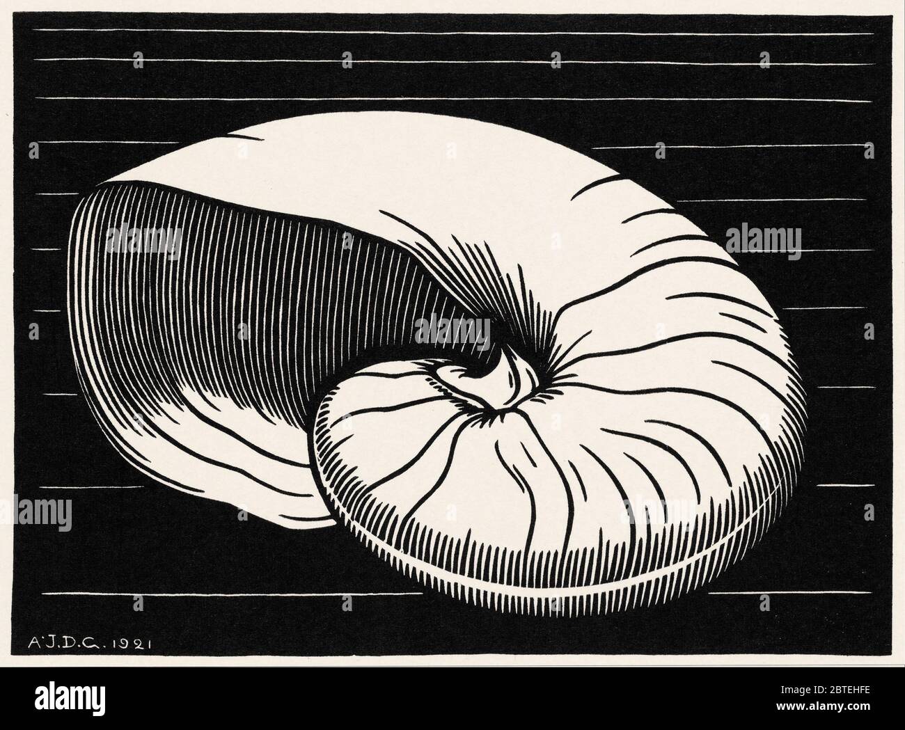 Shell (1921) par Julie de Graag (1877-1924). Original du Rijksmuseum Banque D'Images
