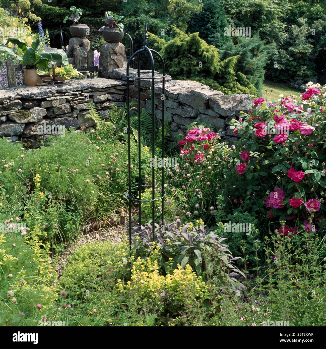 Support de plante métallique dans un petit jardin d'herbes avec des roses roses Banque D'Images