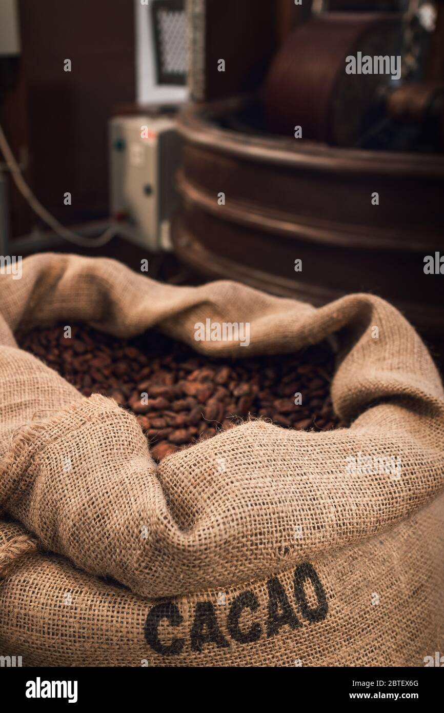 Sac de jute plein de fèves de cacao dans un atelier de chocolaterie, avec l'équipement de conchage et de mélange sur le fond Banque D'Images