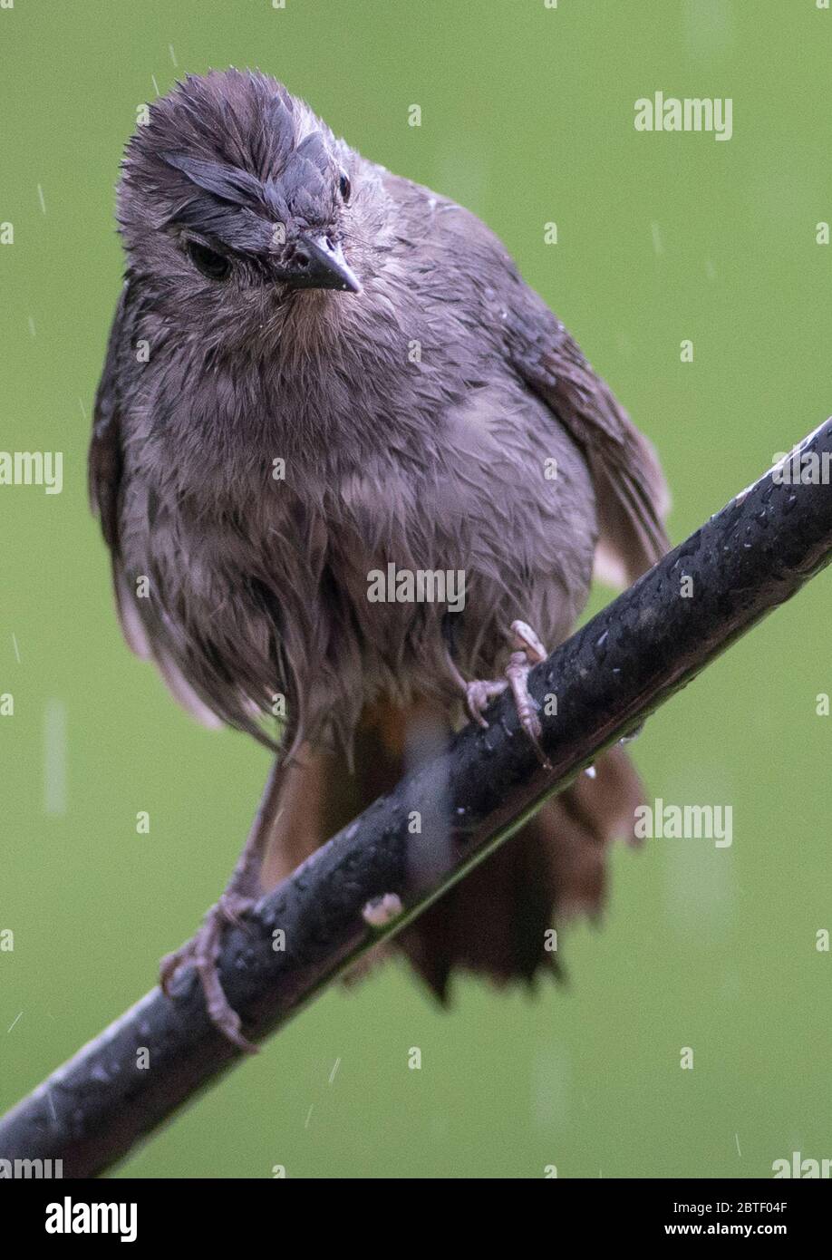 En pente Banque D'Images