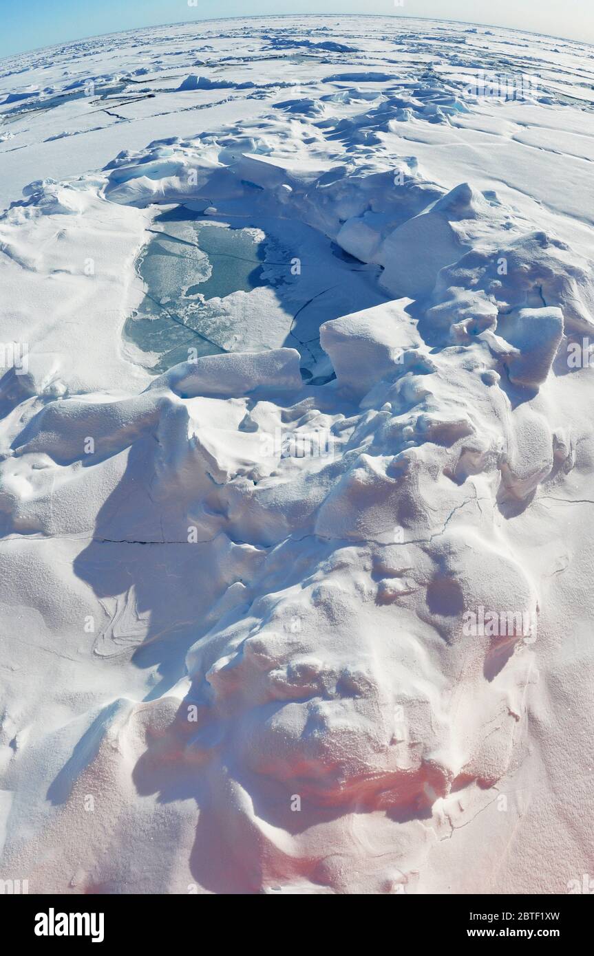 Cette partie de l'océan Arctique est presque entièrement couverte de glace, 1 septembre 2009. Banque D'Images