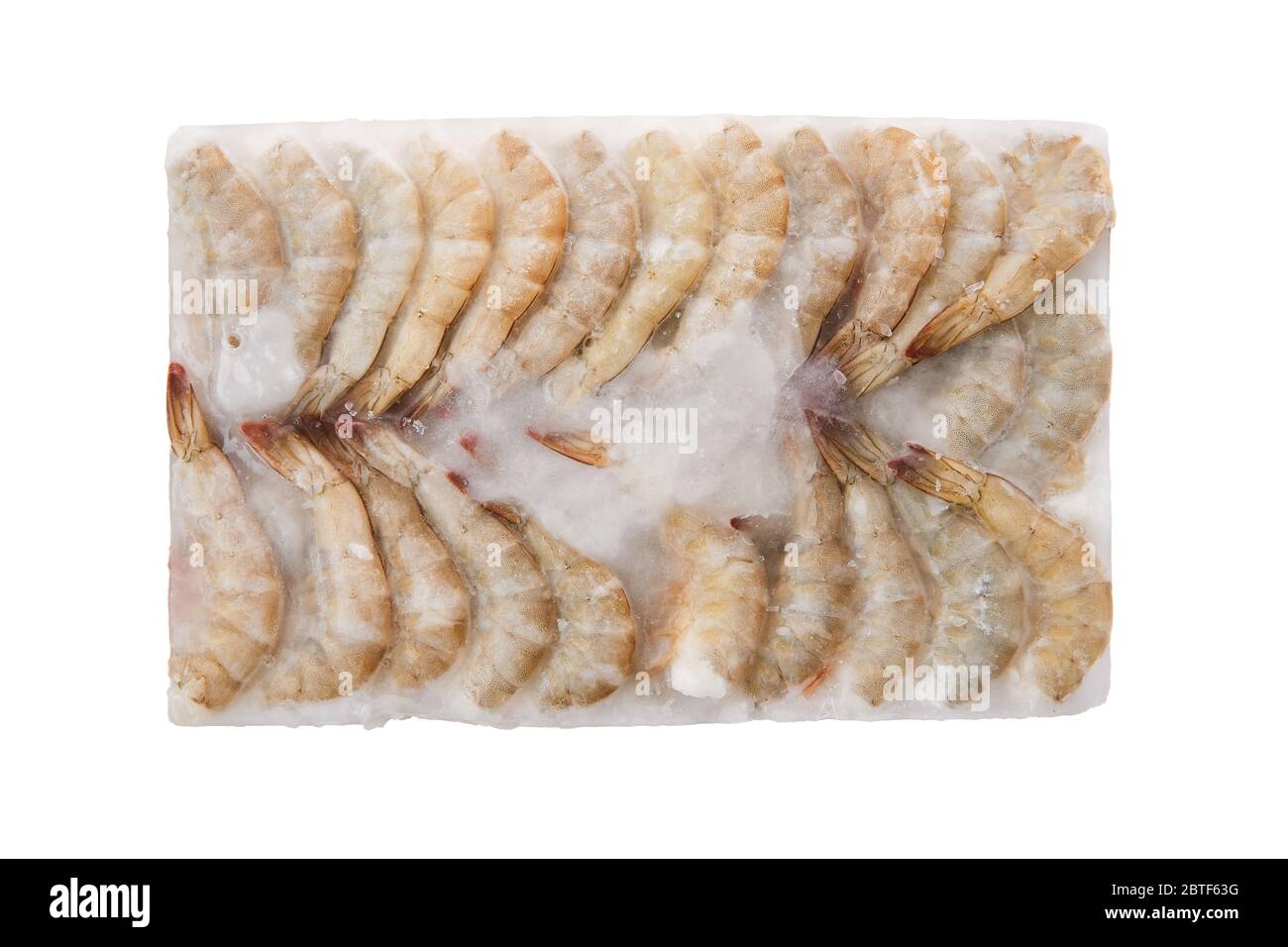 Crevettes tigrées crues congelées dans un grand cube de glace isolé sur fond blanc Banque D'Images