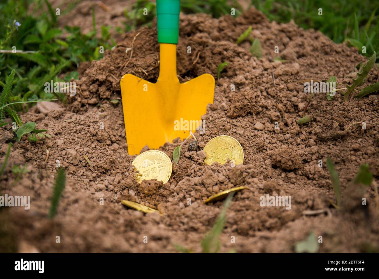 La crypto-monnaie Bitcoin, l'avenir des affaires et des paiements. Valeur croissante du bitcoin. Devise virtuelle. Excavation de pièces d'or du sol Banque D'Images