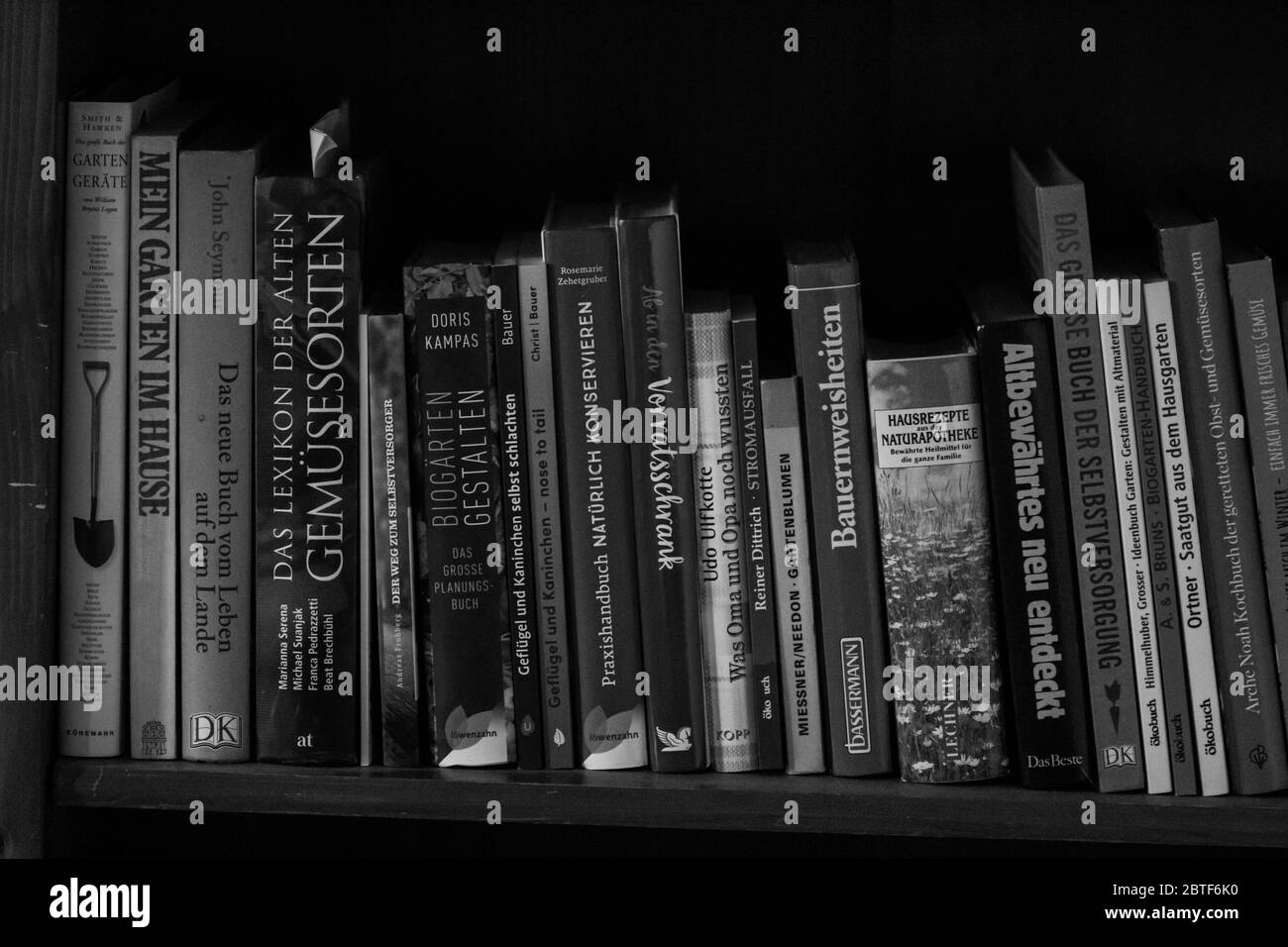 Photographie noir blanc d'une bibliothèque Banque D'Images