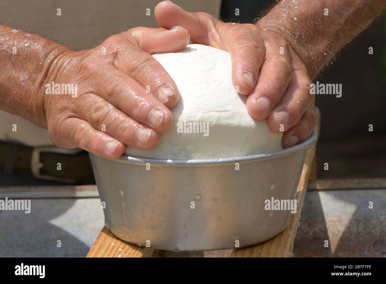 Les mains de Shepherd définissent la forme du fromage Banque D'Images