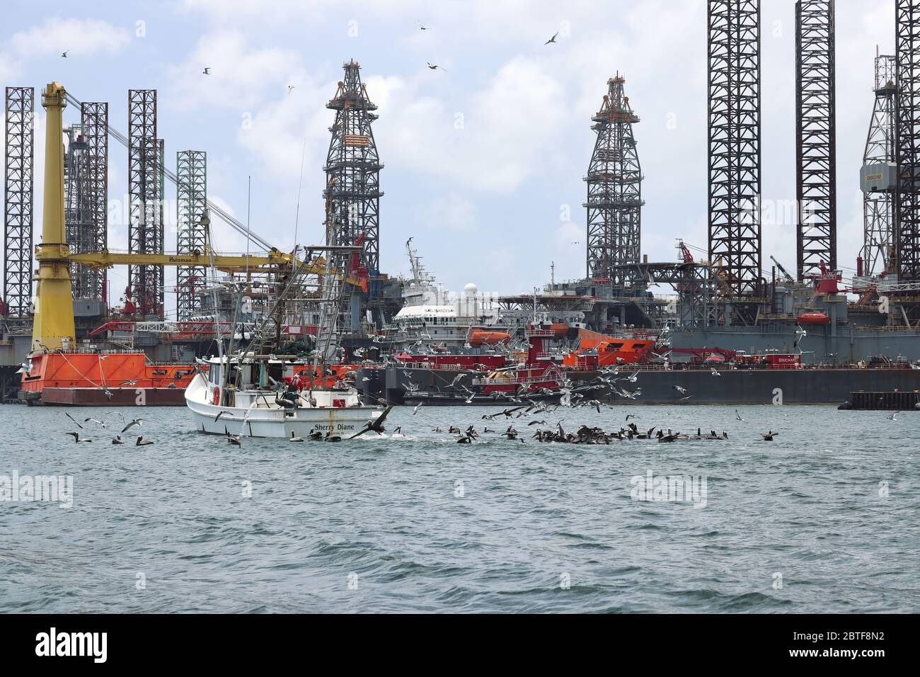 Un bateau de pêche est assiégé par des mouettes et des pélicans dans le port de Galveston, sur la côte du golfe du Texan, aux États-Unis. En arrière-plan, les plates-formes pétrolières sont réhabbed. Banque D'Images