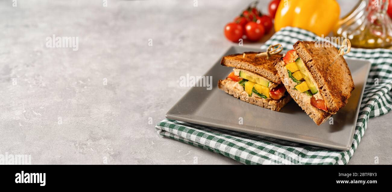 Sandwiches vegan faits maison dans une assiette sur fond gris Banque D'Images