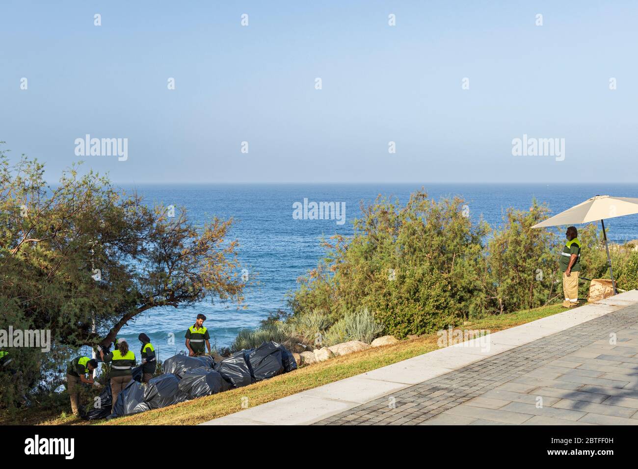 Jardiniers taillés d'arbres et d'arbustes dans les jardins près de Playa del Duque le premier jour de la phase deux de la désescalade, Covid19, coronavirus, État de Banque D'Images