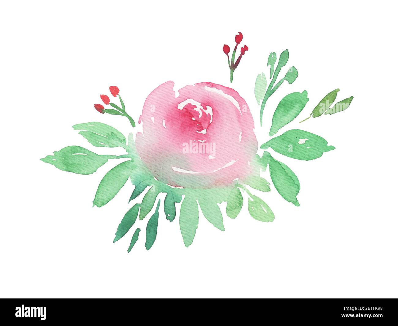 Rose. Dessin main boho aquarelle illustration florale avec fleurs, branches, feuilles. Banque D'Images