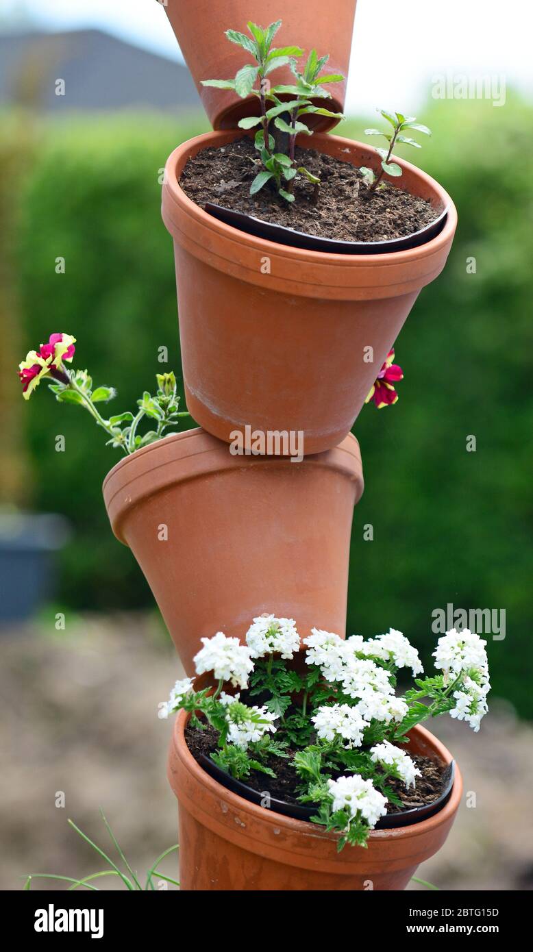 Pots de fleurs ornementales empilés avec fleurs en fleurs. Banque D'Images