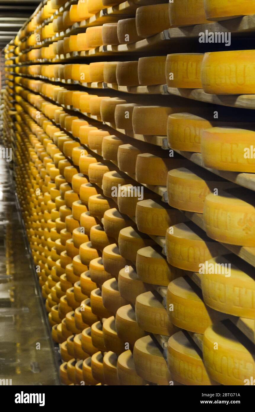 Gruyères, Suisse - le 27 juillet 2019 : les roues de fromage venant à échéance dans la cave de stockage la célèbre fabrique de fromage Suisse La Maison du Gruyère. Le vieillissement du fromage. Selective focus, en partie floue. Banque D'Images