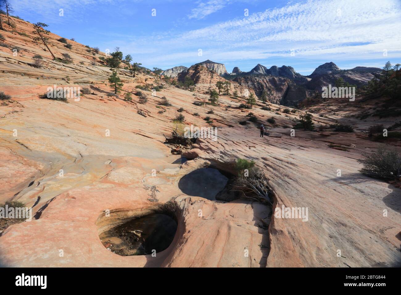 Sentier de nombreuses piscines dans la zone est du parc national de Zion. Banque D'Images