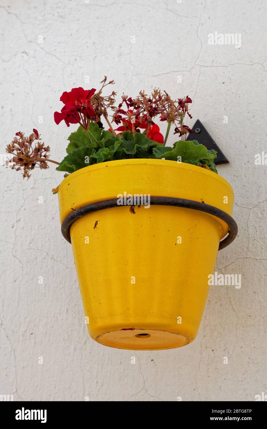 Photo de rue, Estepona Old Towm, Malaga, Costa del sol, Espagne Banque D'Images