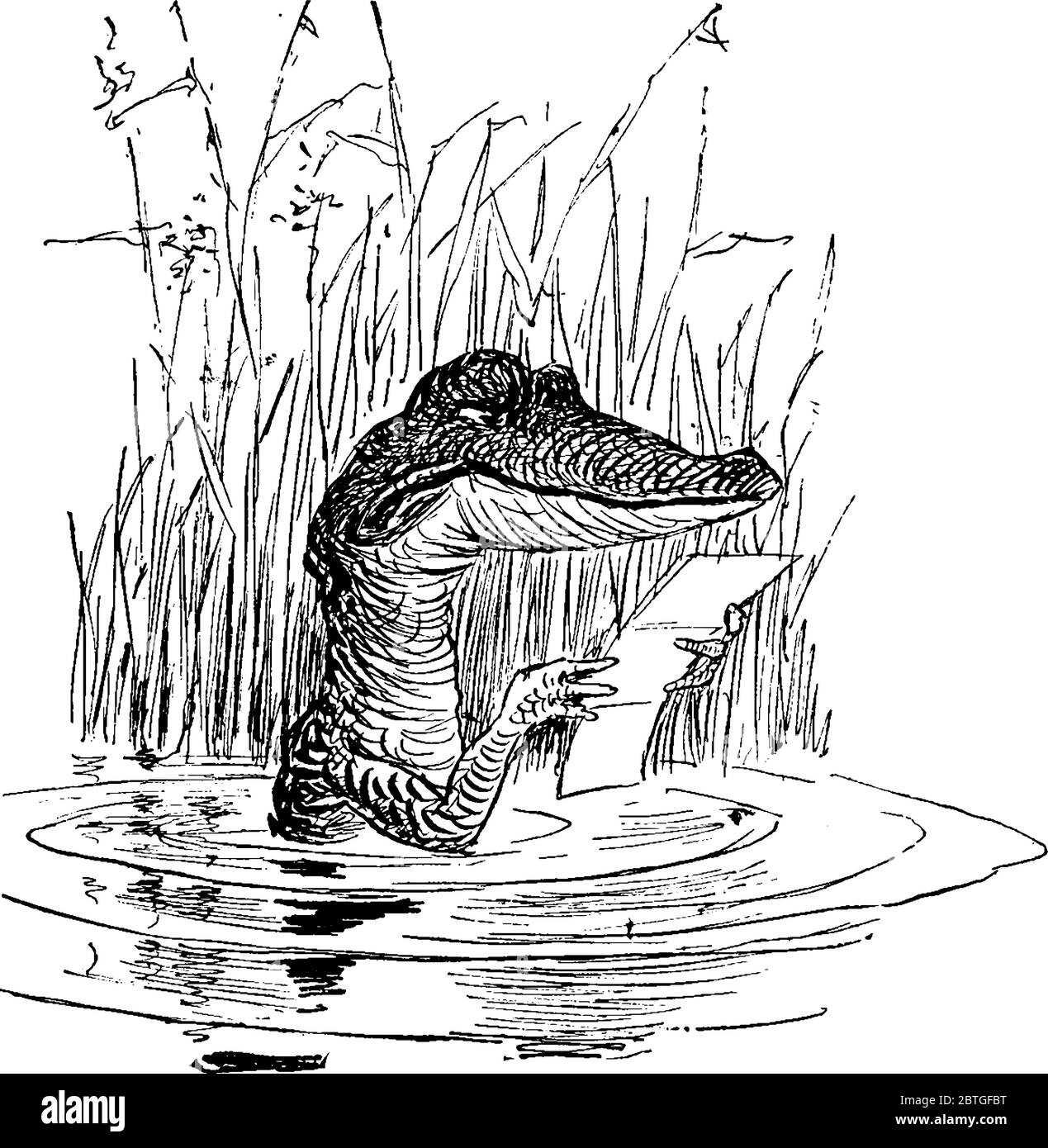 Représentation typique d'un crocodile de dessin animé en rivière, lecture d'une lettre, dessin de ligne vintage ou illustration de gravure Illustration de Vecteur