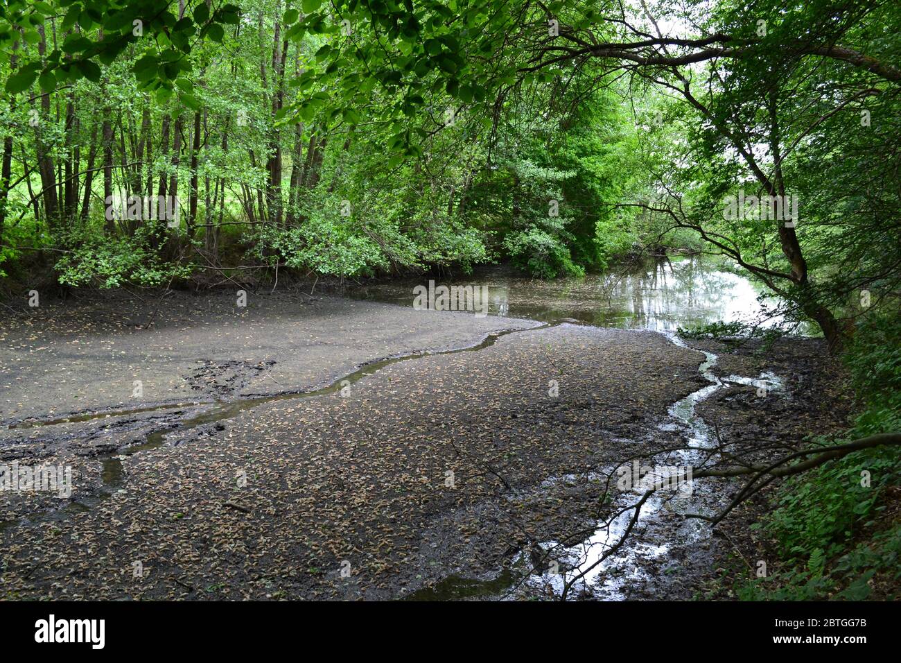 La rivière Darent, près de sa source, sur la crête de Greensand, près de Chartwell, a un peu de boue en raison de l'absence de pluie. Kent, Westerham. Banque D'Images