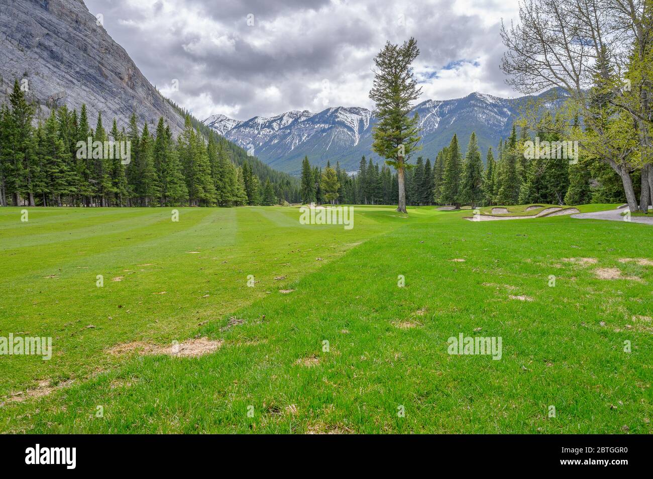Printemps au parcours de golf Banff Springs, dans le parc national Banff, Canada Banque D'Images