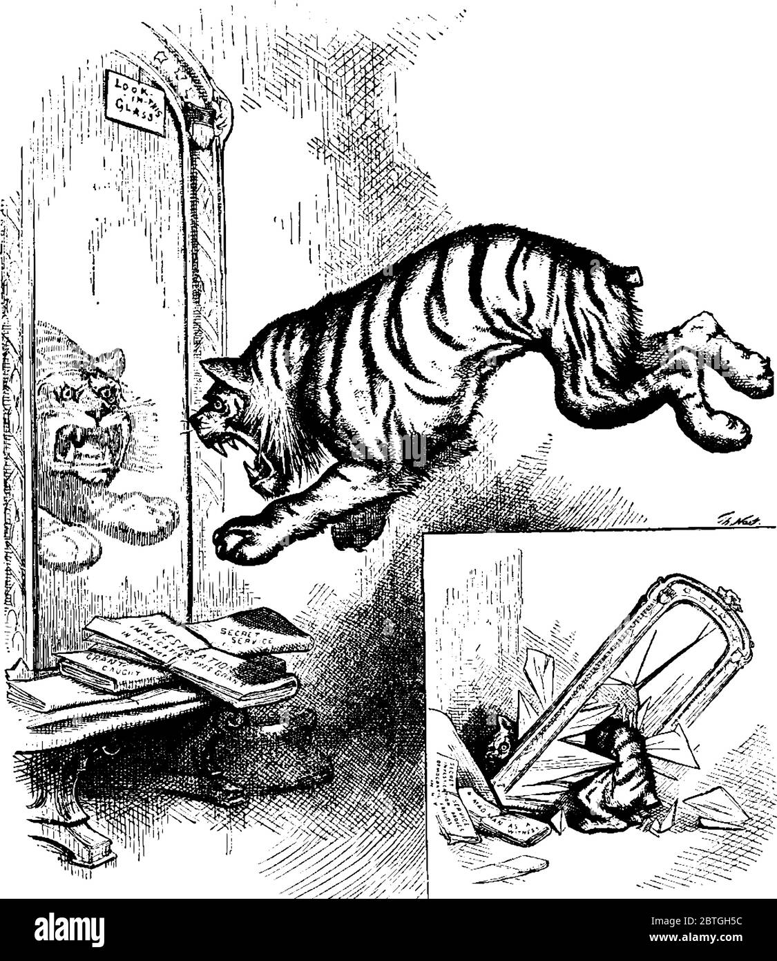 Caricature d'un Tigre en colère (démocrate) est devenu fou et attaquant sur le miroir, et une petite image dans le coin droit spectacle après l'attaque condition, vinta Illustration de Vecteur