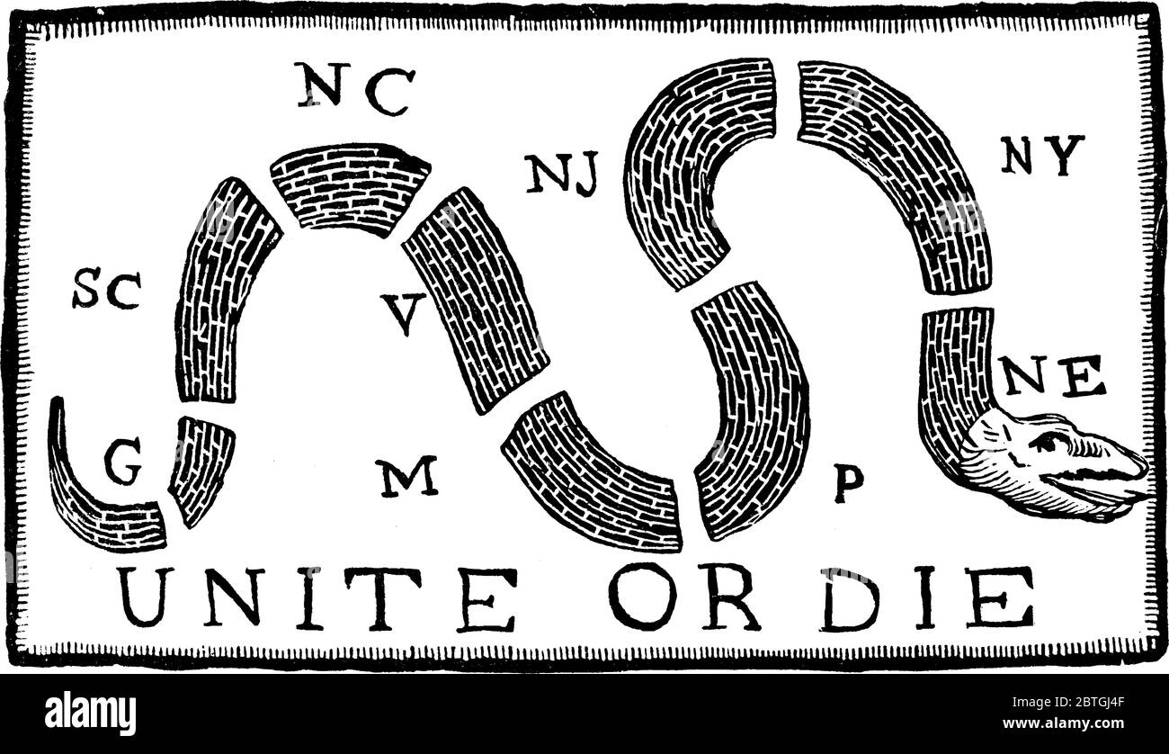 Illustration avec quelques écrits comme, Unite ou Die. Un appareil serpent est apparu pour la première fois lorsque l'excitation de Stamp Act était à son sommet, la ligne vintage dra Illustration de Vecteur