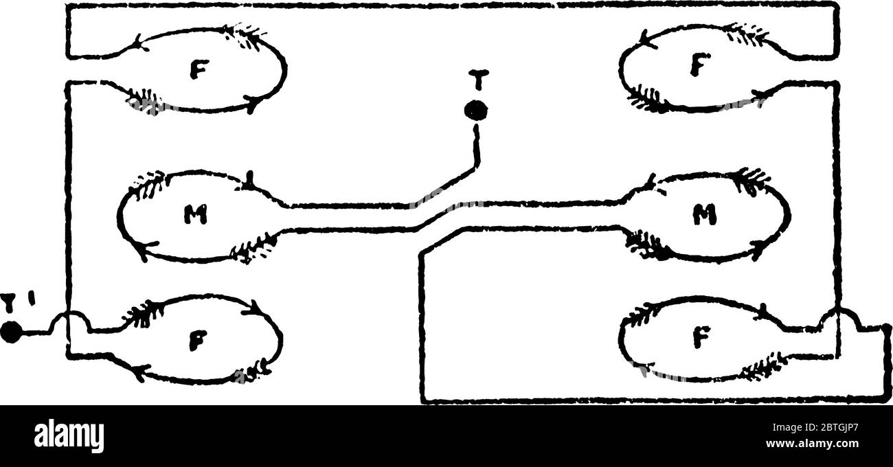 Les six bobines sont telles que si le courant passe à travers les bobines en série, les forces d'attraction et de répulsion sont mises en place qui tendent Illustration de Vecteur