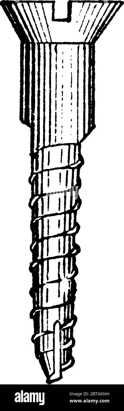 Une vis à bois à tête plate et fente. Ce type de vis est non fileté sous la tête et conçu pour fixer deux pièces de bois, vint Illustration de Vecteur