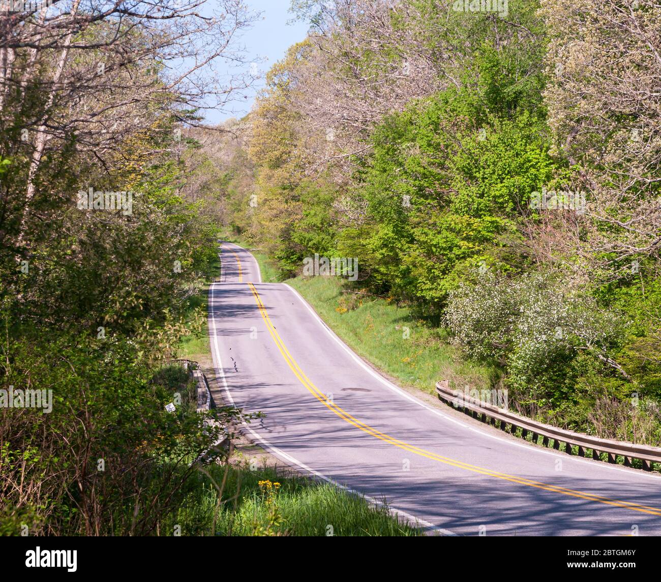 US route 62 dans les bois dans le comté de Venango, Pennsylvanie, USA, le jour de printemps ensoleillé. La route 62 est la seule route qui relie le Canada au Mexique. Banque D'Images