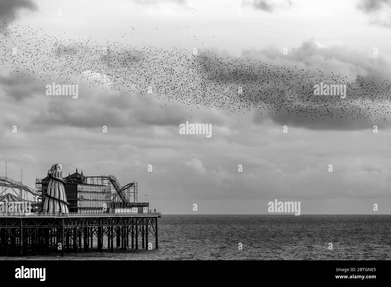 L'étourneau à Brighton Palace Pier Banque D'Images